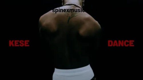 Wizkid Kese (Dance)