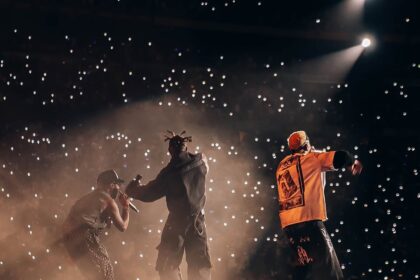 Chris Brown's South Africa concert