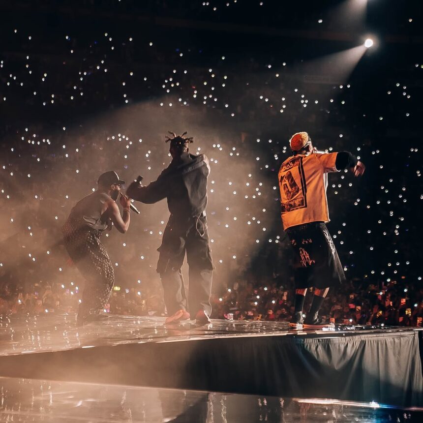 Chris Brown's South Africa concert