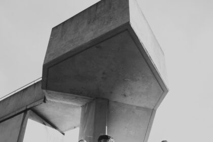 FLEAS Theywatchmebreak