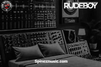 Rudeboy – Feelings