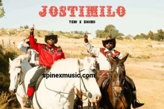 Teni – Jostimilo Ft. Skiibii