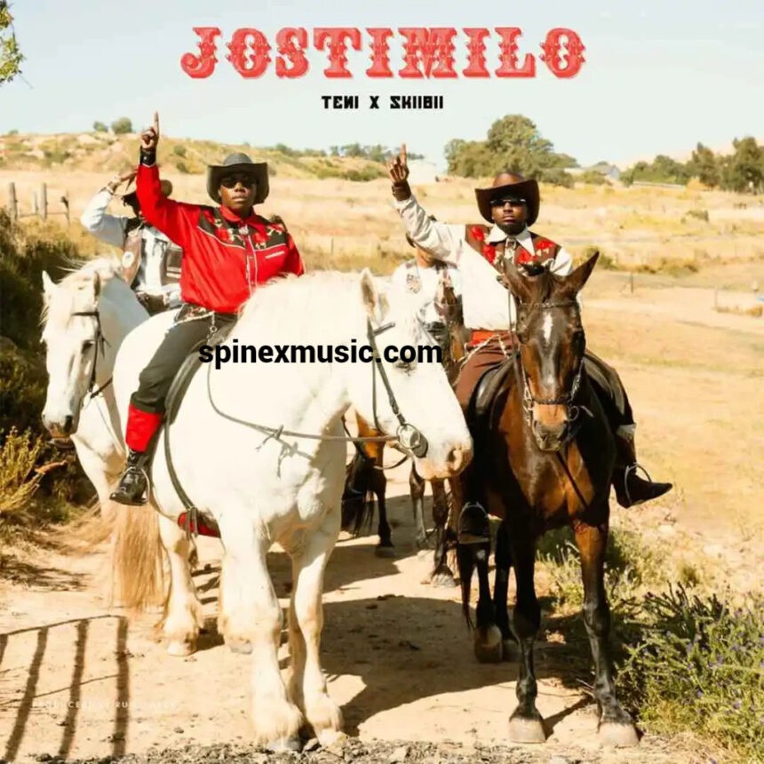 Teni – Jostimilo Ft. Skiibii