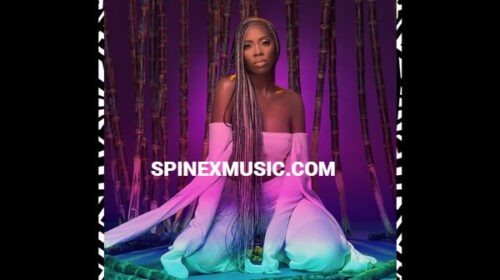 Tiwa Savage Ma Lo Ft Wizkid and Spellz