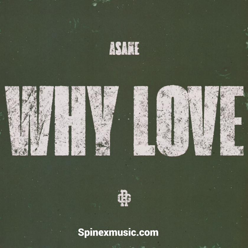 Asake Why Love