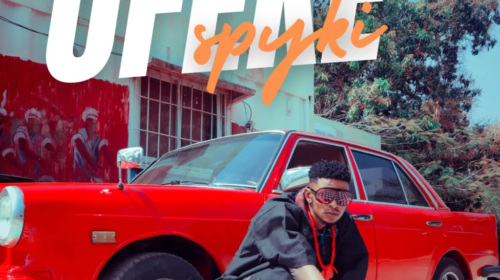 Spyki – Ofeke