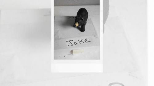 jake official artwork