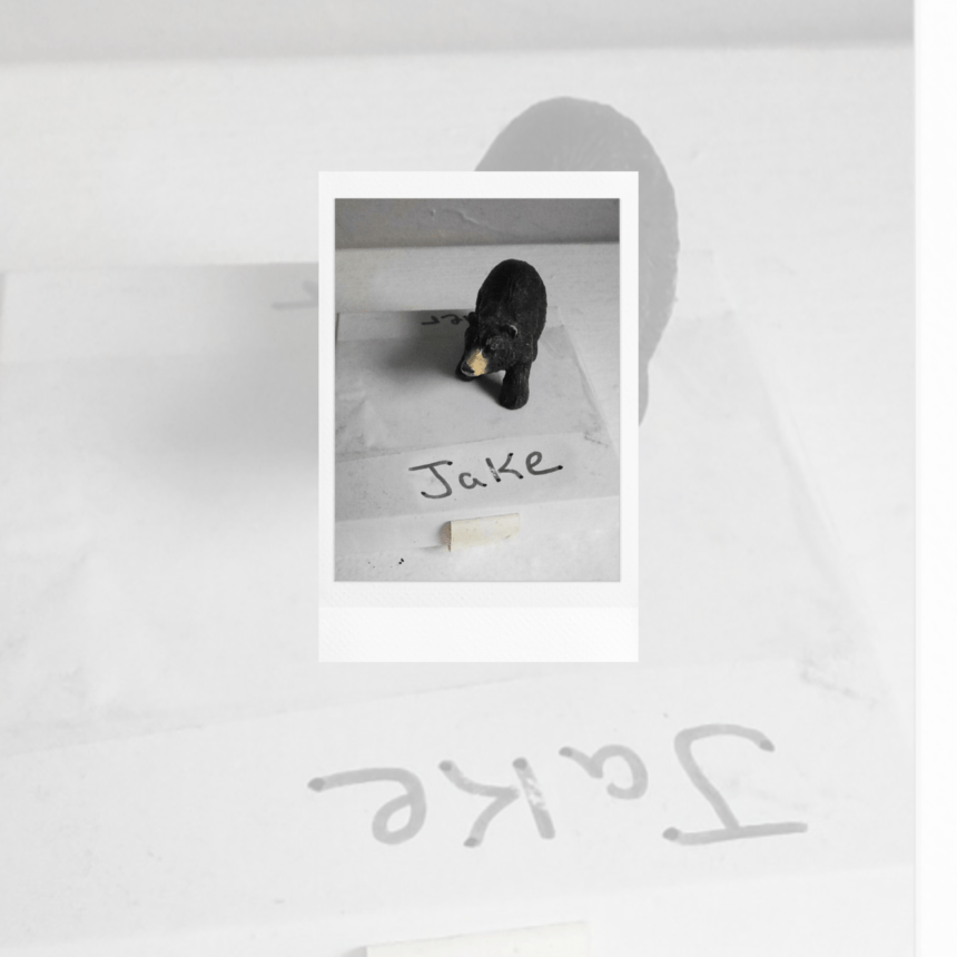 jake official artwork