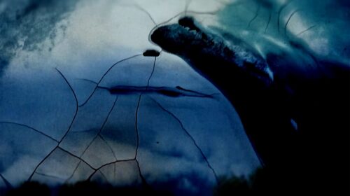 Heijmat Echoes of Solace