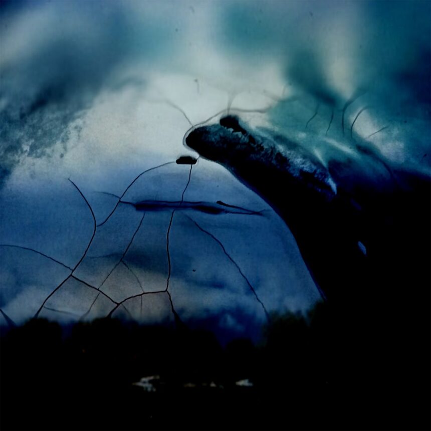 Heijmat Echoes of Solace