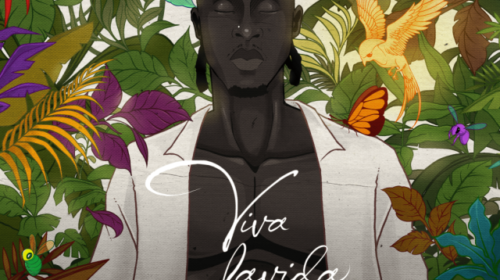 Joeboy Viva Lavida