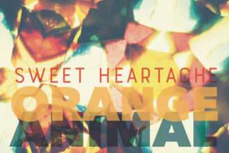 Orange Animal Sweet Heartache