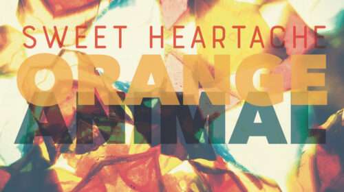 Orange Animal Sweet Heartache
