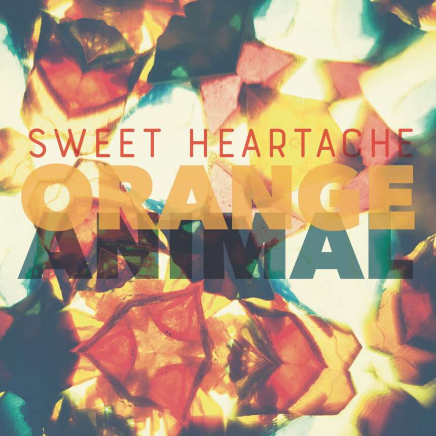 Orange Animal Sweet Heartache