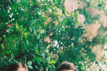 Takeda In Venus Train