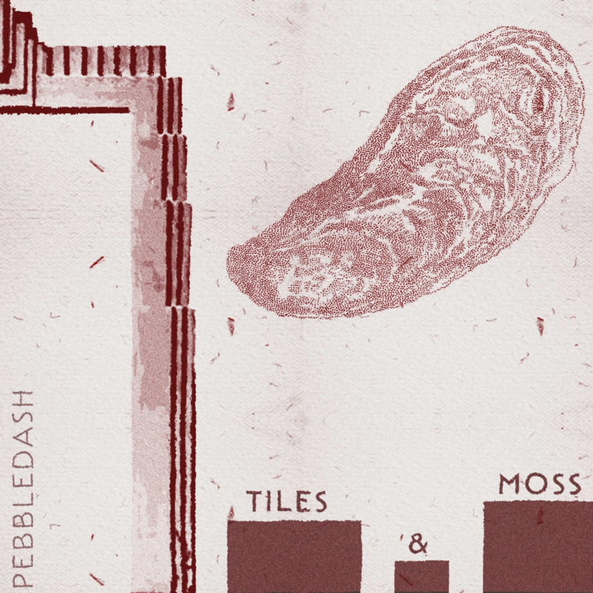 Pebbledash Announce New EP, Share New Single 'Tiles & Moss' 52 image