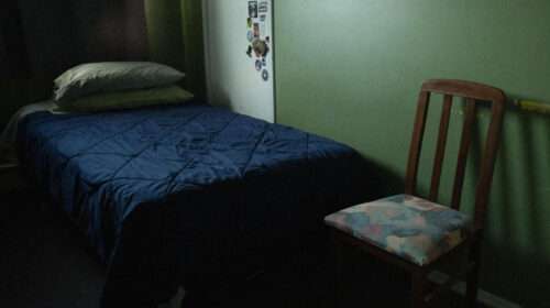 Debra Jean Creelman - Bloom