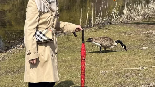 Katie Dauson - Dauson City Gold Rush