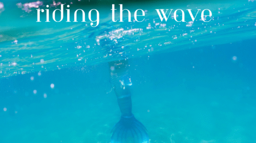 Sia Shells - Riding The Wave