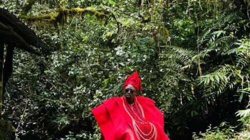 Seabreeze - Vitamin Sea