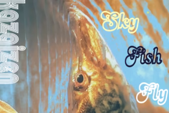 Jonny Kasai - Sky Fish Fly