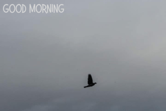 Colm Warren Good Morning