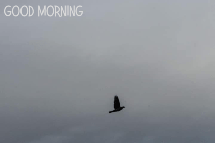 Colm Warren Good Morning