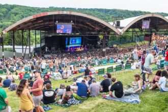 Crowd on a hill in front of a stage