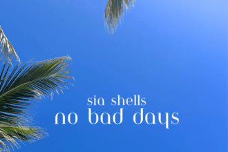 Sia Shells No Bad Days