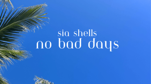 Sia Shells No Bad Days