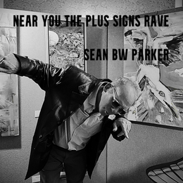 Sean Bw Parker Brighton Lanes