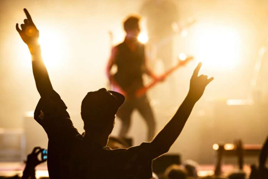 photo from the crowd of a musician on stage