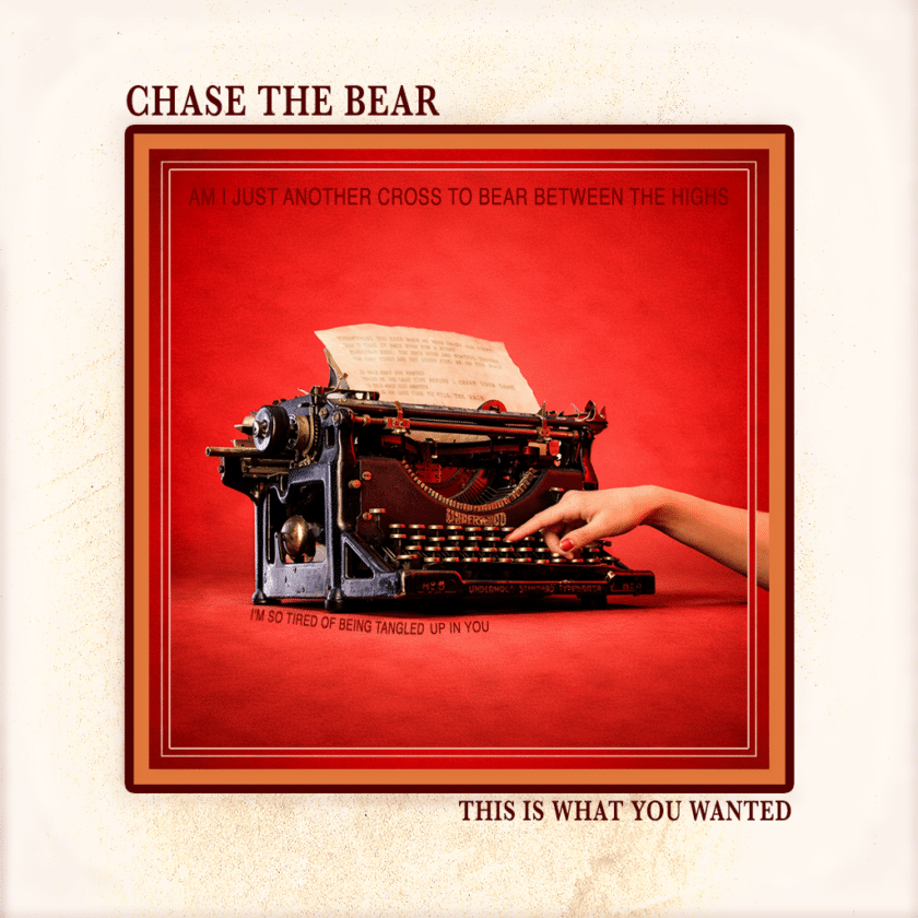 CHASE THE BEAR This Is What You Wanted
